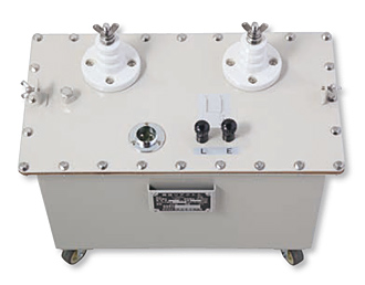 L-13K100　<SOUKOU　レンタル月額>